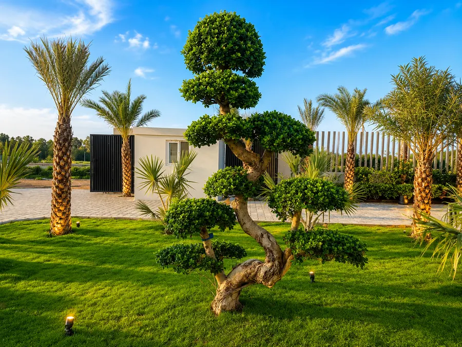 Beautiful landscaped garden at ALA Beach Resort