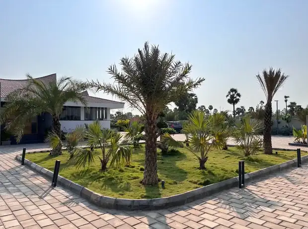 Palm garden and resort landscaping